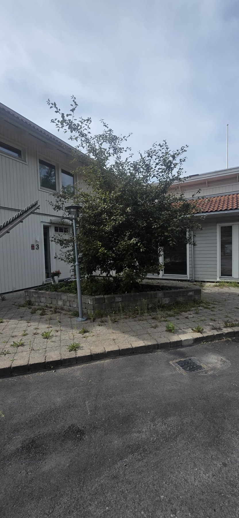 Buske före beskärning